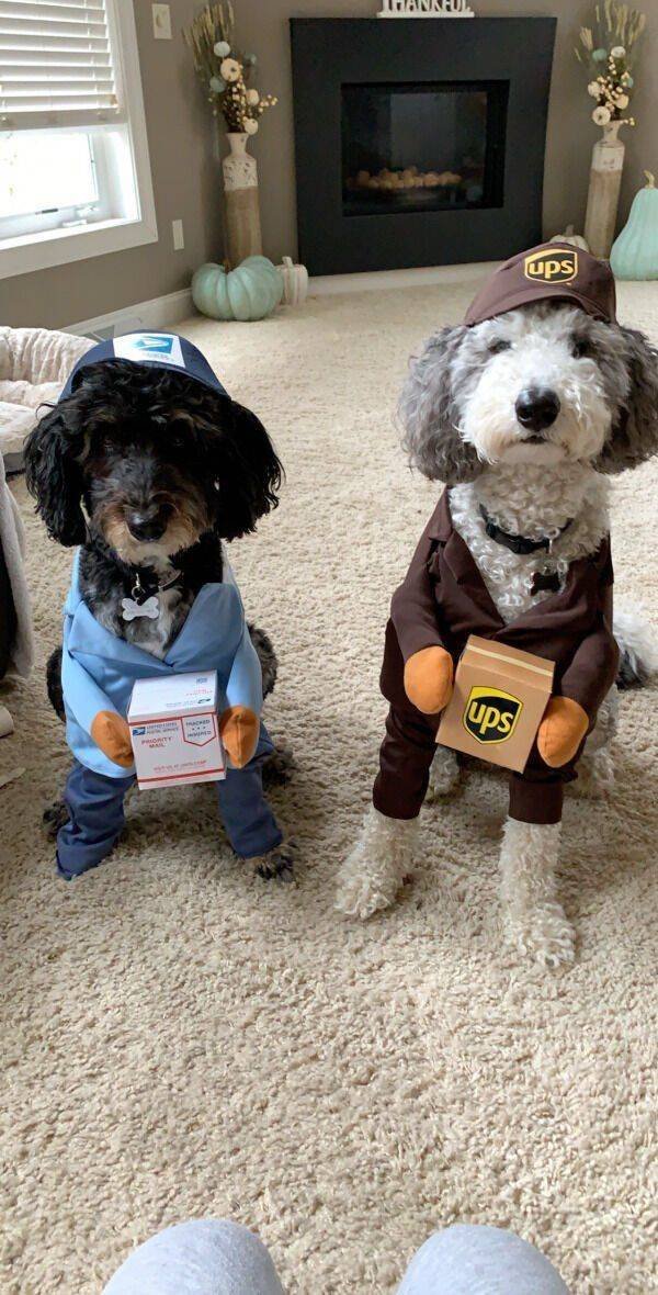 Acid Picdump 1 (82 pics)