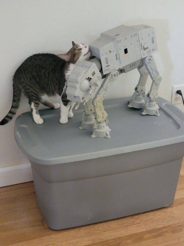 Acid Picdump 1 (82 pics)