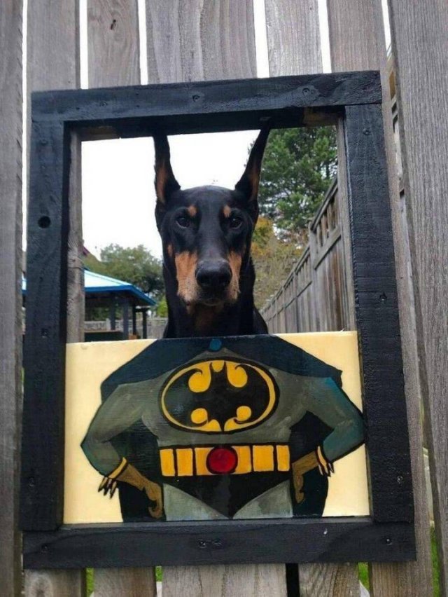 Acid Picdump 1 (82 pics)
