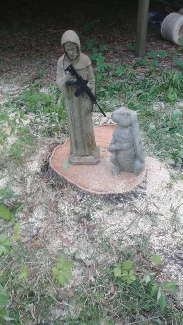 Acid Picdump 1 (82 pics)