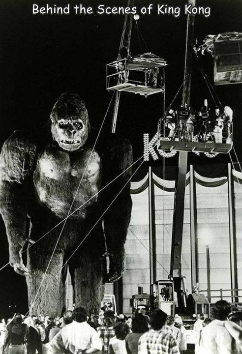 Acid Picdump 2 (80 pics)