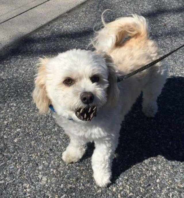 Acid Picdump 2 (80 pics)