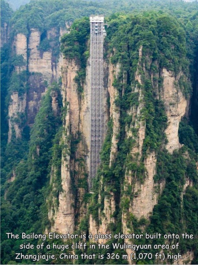 Acid Picdump 2 (80 pics)