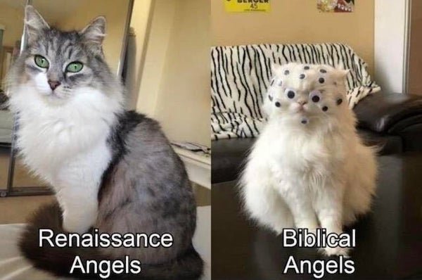 Cat Memes (32 pics)