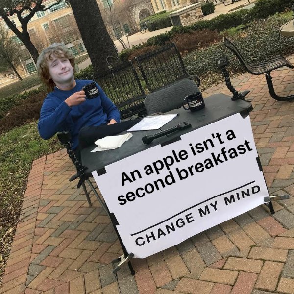 LOTR Memes (26 pics)