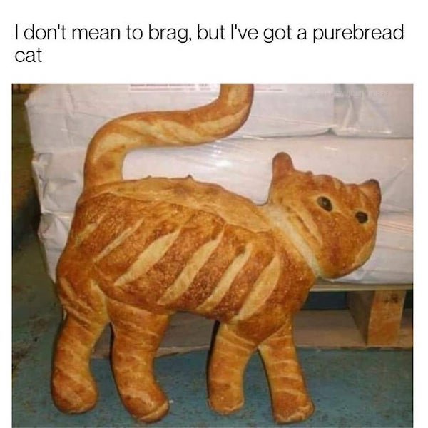 Cat Memes (32 pics)