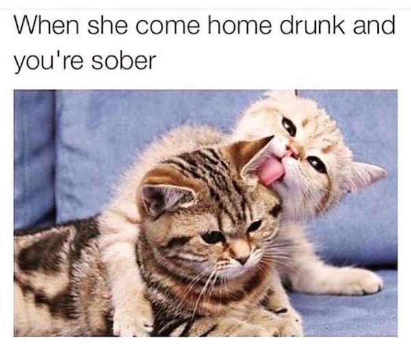 Alcohol Memes And Pictures (21 pics)