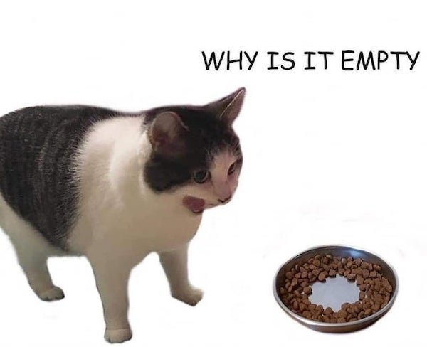 Cat Memes (32 pics)