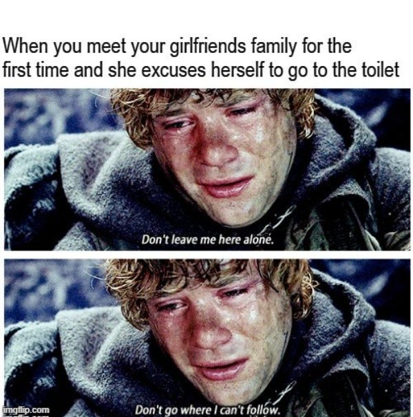 LOTR Memes (26 pics)