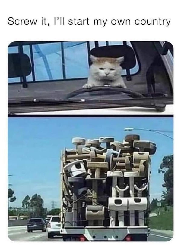 Cat Memes (32 pics)