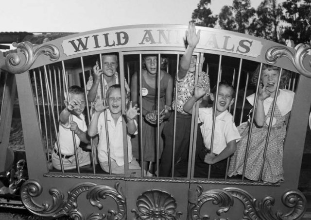 Old Photos Of 'Disneyland' Opening (25 pics)
