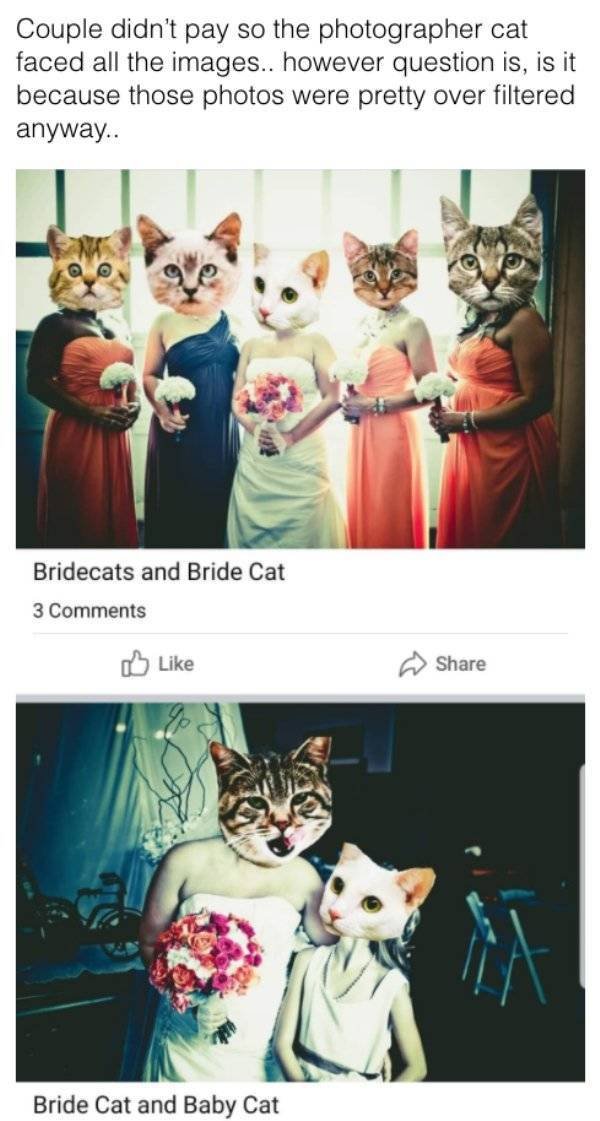 Strange Weddings (29 pics)