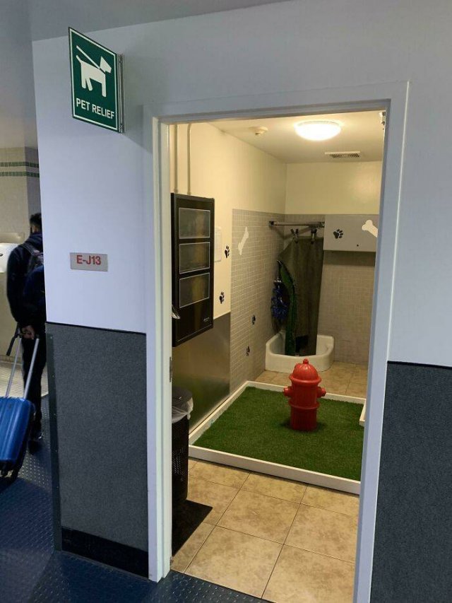 Public Restroom Smart Solutions (50 pics)