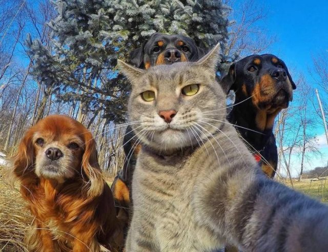 Acid Picdump 2 (90 pics)