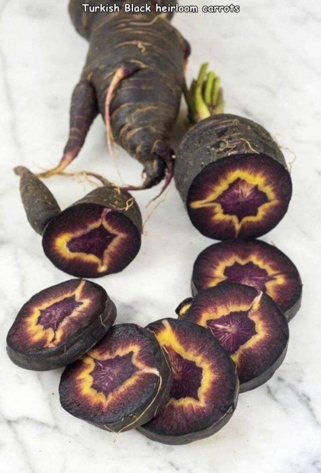 Acid Picdump 2 (90 pics)