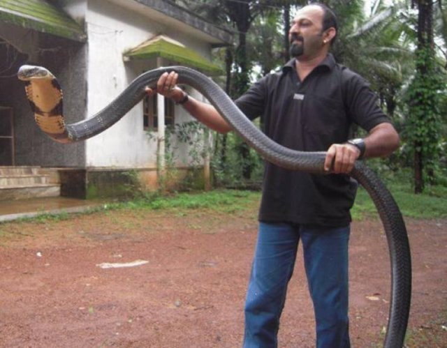Acid Picdump 2 (90 pics)