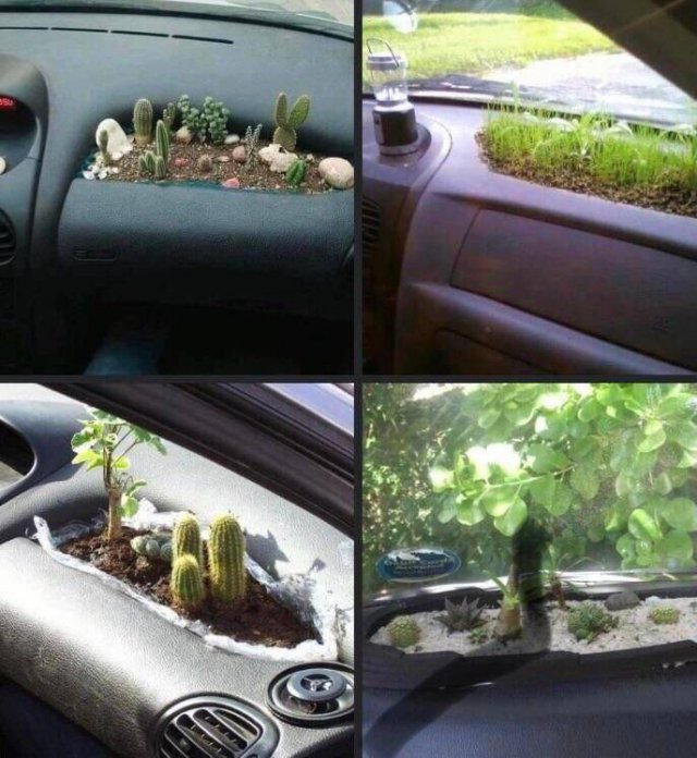 Acid Picdump 2 (90 pics)
