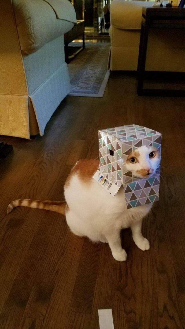 Acid Picdump 2 (90 pics)