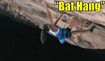 Wins And Fails (30 gifs)