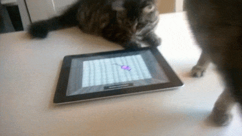 Wins And Fails (30 gifs)