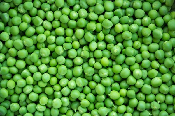High-Protein Foods That You Need In Your Meal (18 pics) High-Protein Foods That You Need In Your Meal (18 pics)