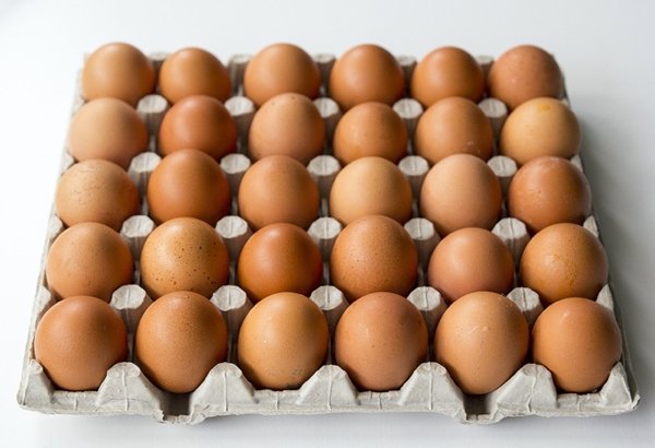 High-Protein Foods That You Need In Your Meal (18 pics) High-Protein Foods That You Need In Your Meal (18 pics)