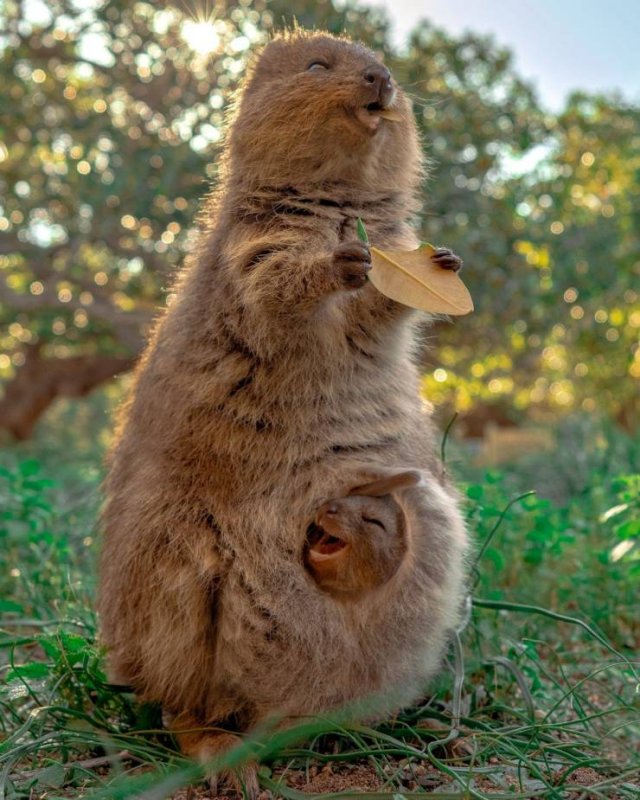 Amazing Pictures (35 pics)