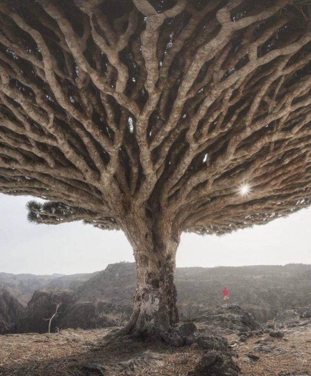 Amazing Pictures (35 pics)