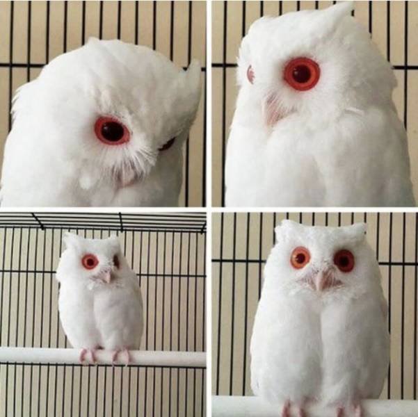 Amazing Pictures (35 pics)