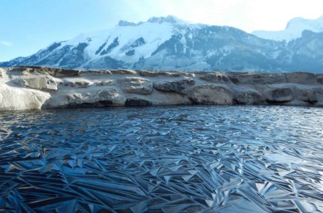 Amazing Pictures (35 pics)