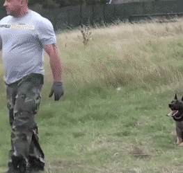 Acid Gifdump, May 17 (25 gifs)