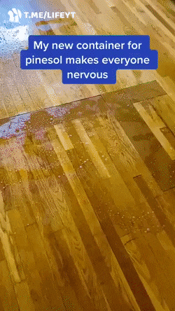 Acid Gifdump, May 17 (25 gifs)