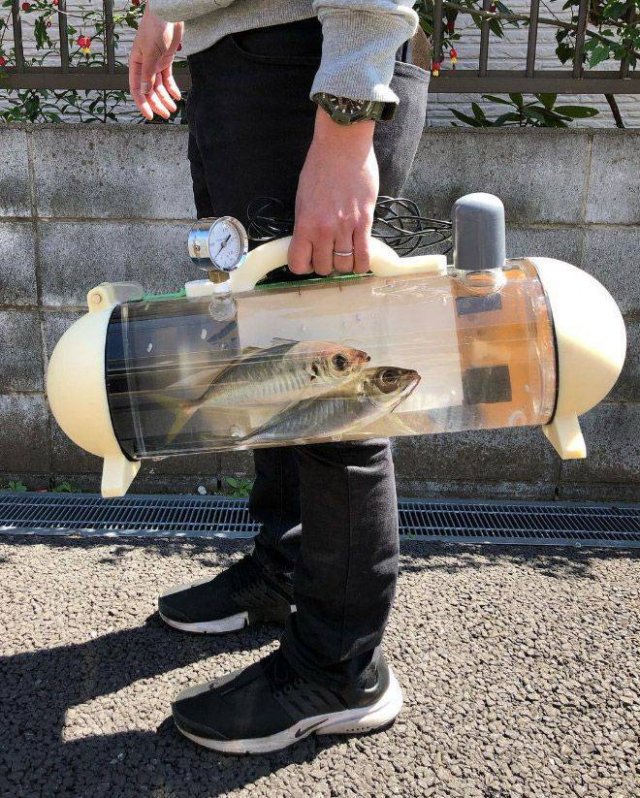 Acid Picdump 1 (81 pics)