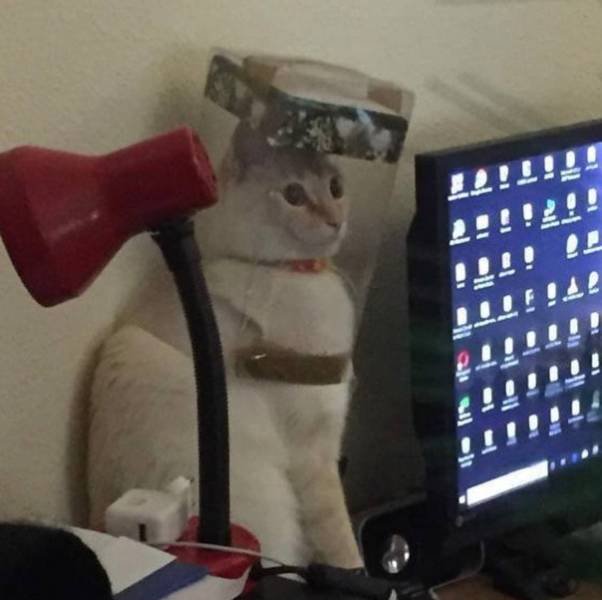 Acid Picdump 1 (81 pics)