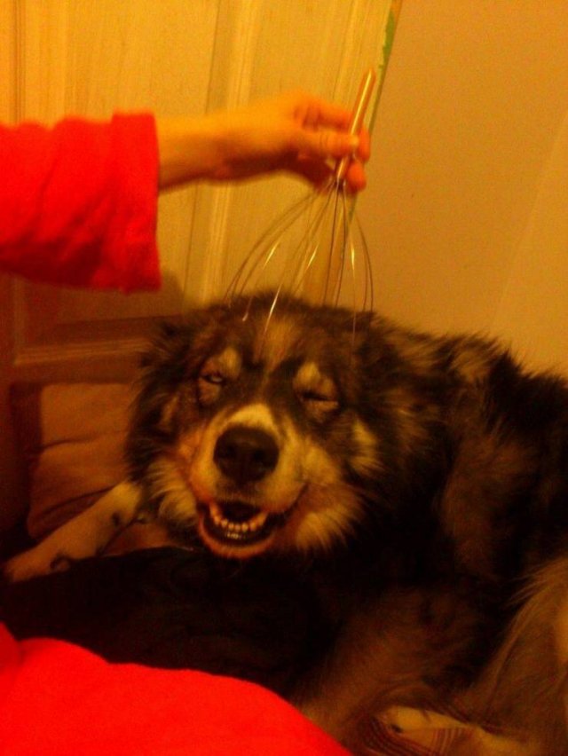 Acid Picdump 1 (81 pics)