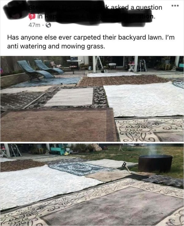 OMG Pictures (32 pics)