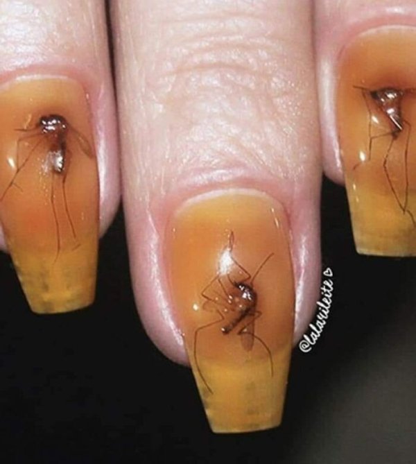 OMG Pictures (32 pics)