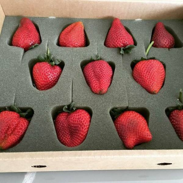 Unnecessary Packaging (30 pics) Unnecessary Packaging (30 pics)