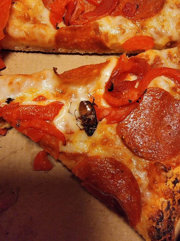 OMG Pictures (26 pics)