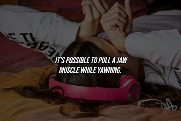 Human Body Facts (25 pics)