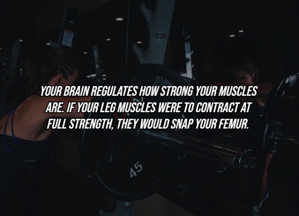 Human Body Facts (25 pics)