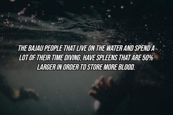 Human Body Facts (25 pics)