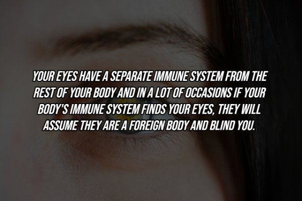 Human Body Facts (25 pics)