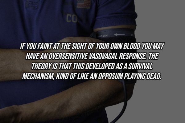 Human Body Facts (25 pics)