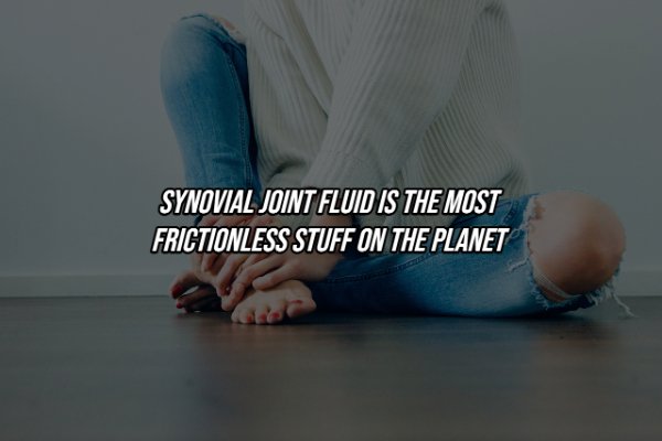 Human Body Facts (25 pics)