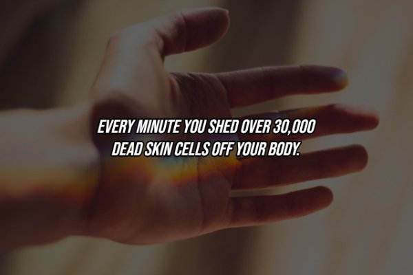Human Body Facts (25 pics)