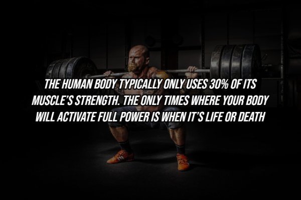 Human Body Facts (25 pics)