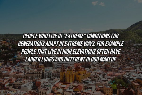 Human Body Facts (25 pics)