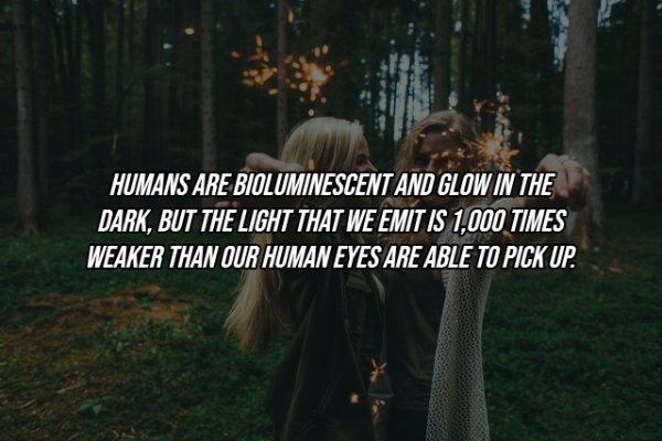 Human Body Facts (25 pics)