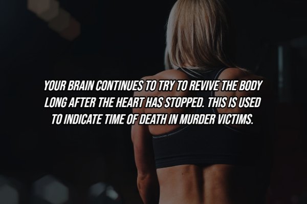 Human Body Facts (25 pics)